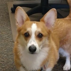 Meet your Posher, Jackie